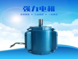 科瑞萊環(huán)?？照{(diào)1.1KW專用電機(jī)